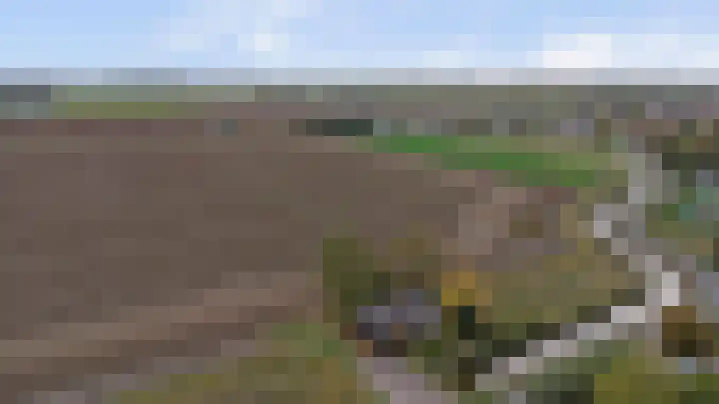 Nazareth 6 Wolphaartsdijk thumbnail 33