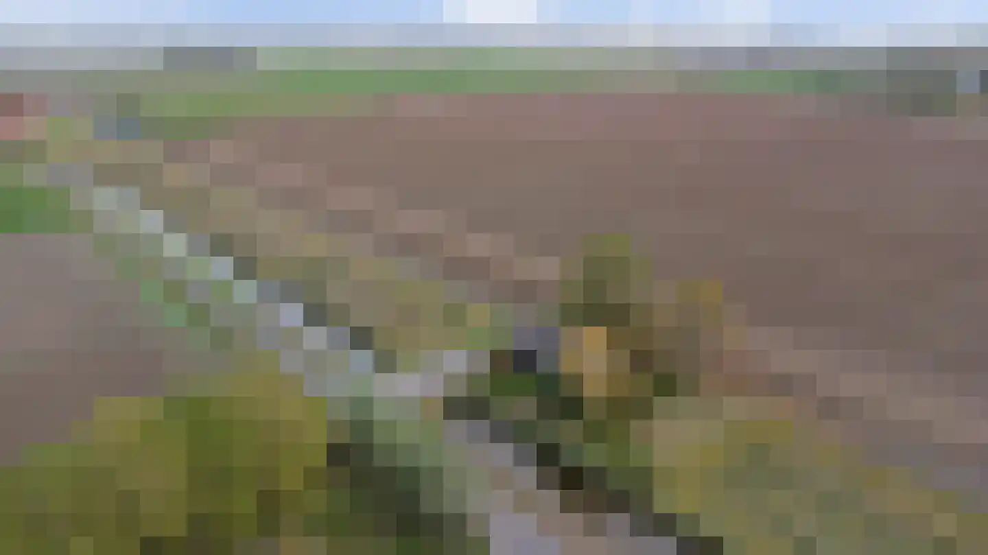 Nazareth 6 Wolphaartsdijk thumbnail 35