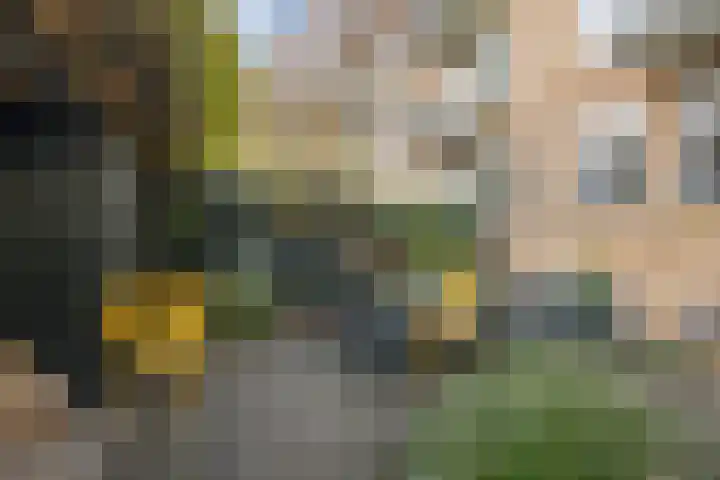 Nazarethstraat 11 A Rotterdam thumbnail 14