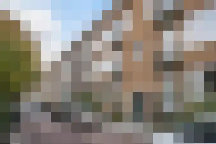 Nazarethstraat 11 A Rotterdam thumbnail 34