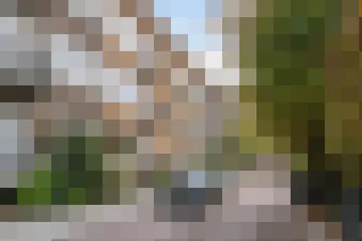 Nazarethstraat 11 A Rotterdam thumbnail 4