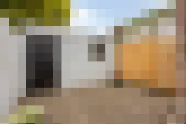 Nazarethstraat 12 Tilburg thumbnail 18