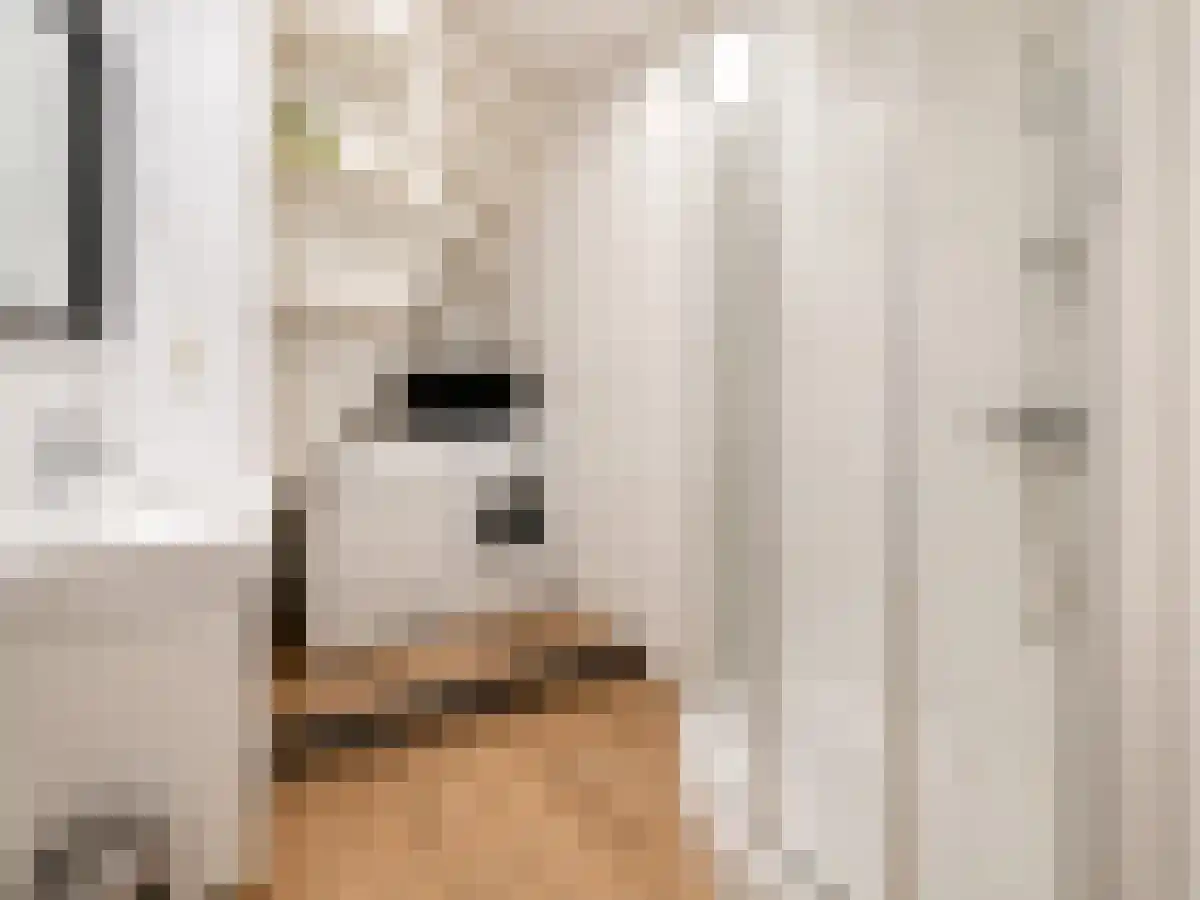 Nazarethstraat 4 Rotterdam thumbnail 5
