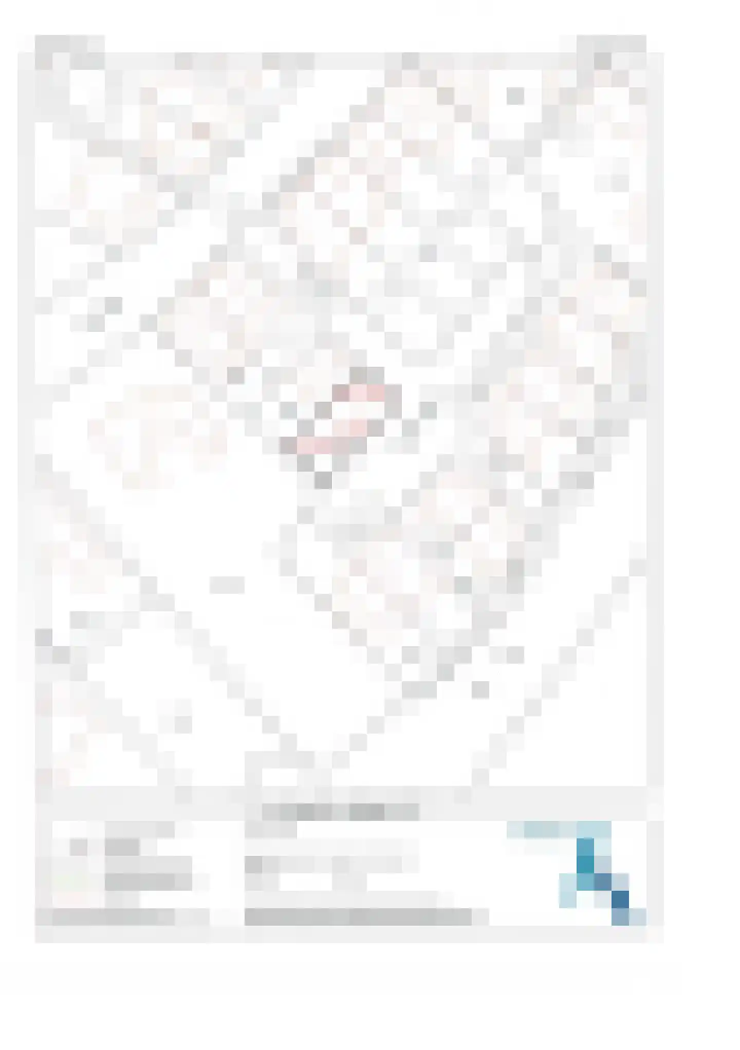Nazarethstraat 5 Nieuw-Vossemeer thumbnail 32