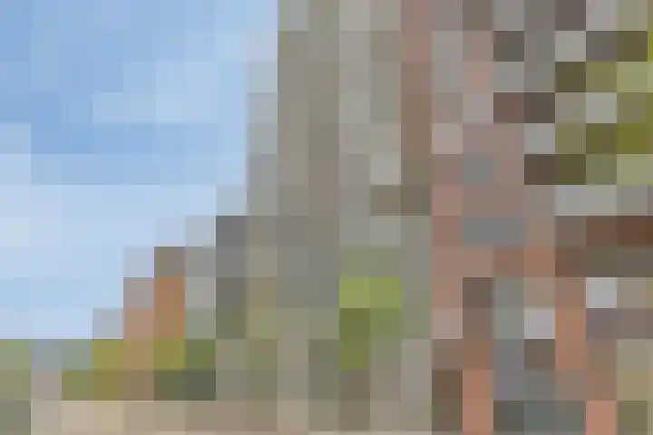 NDSM-straat 51 Amsterdam thumbnail 25