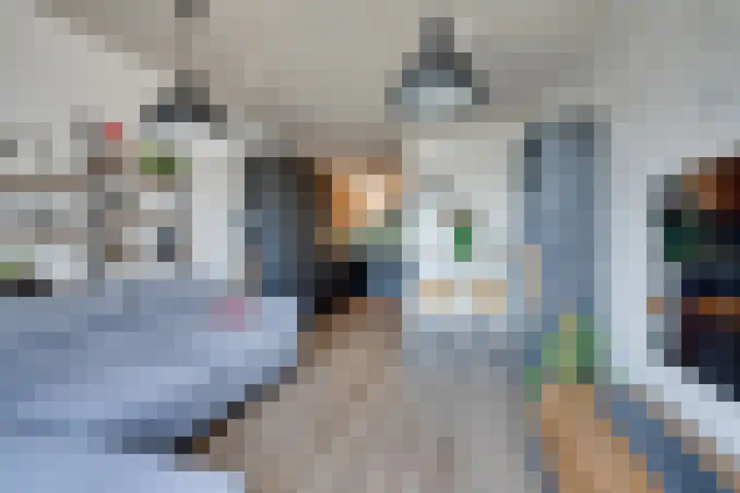NDSM-straat 75 Amsterdam thumbnail 15
