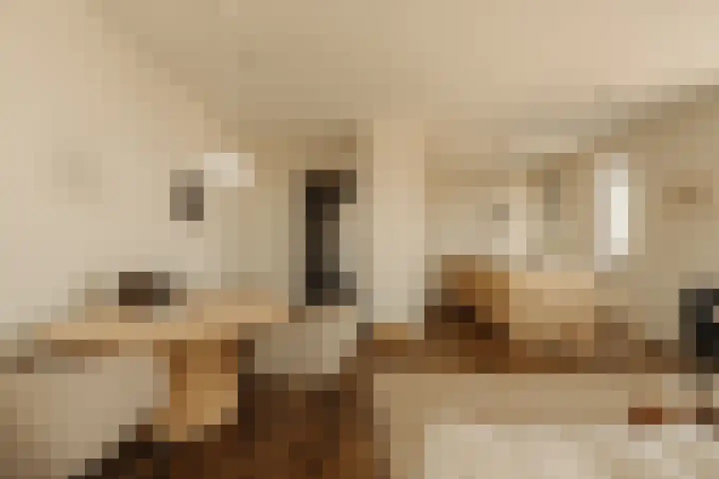 NDSM-straat 85 Amsterdam thumbnail 7