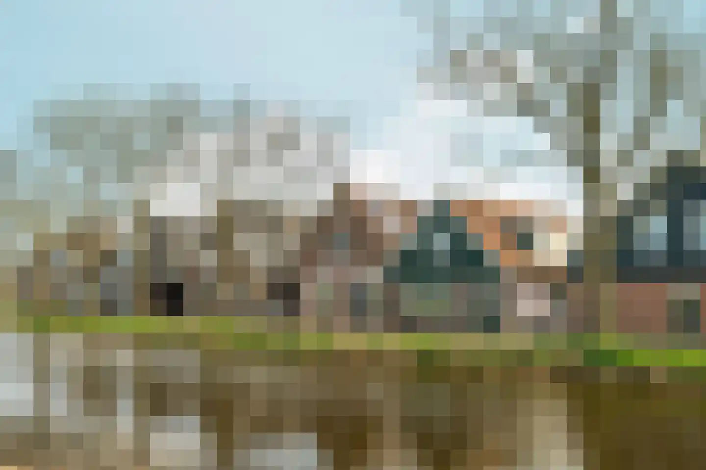 Neck 12 Wijdewormer thumbnail 5