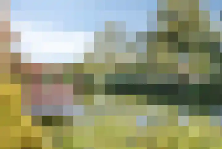 Neckardal 24 Capelle aan den IJssel thumbnail 32