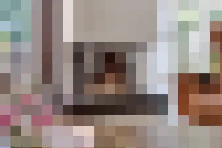 Neckardal 24 Capelle aan den IJssel thumbnail 8