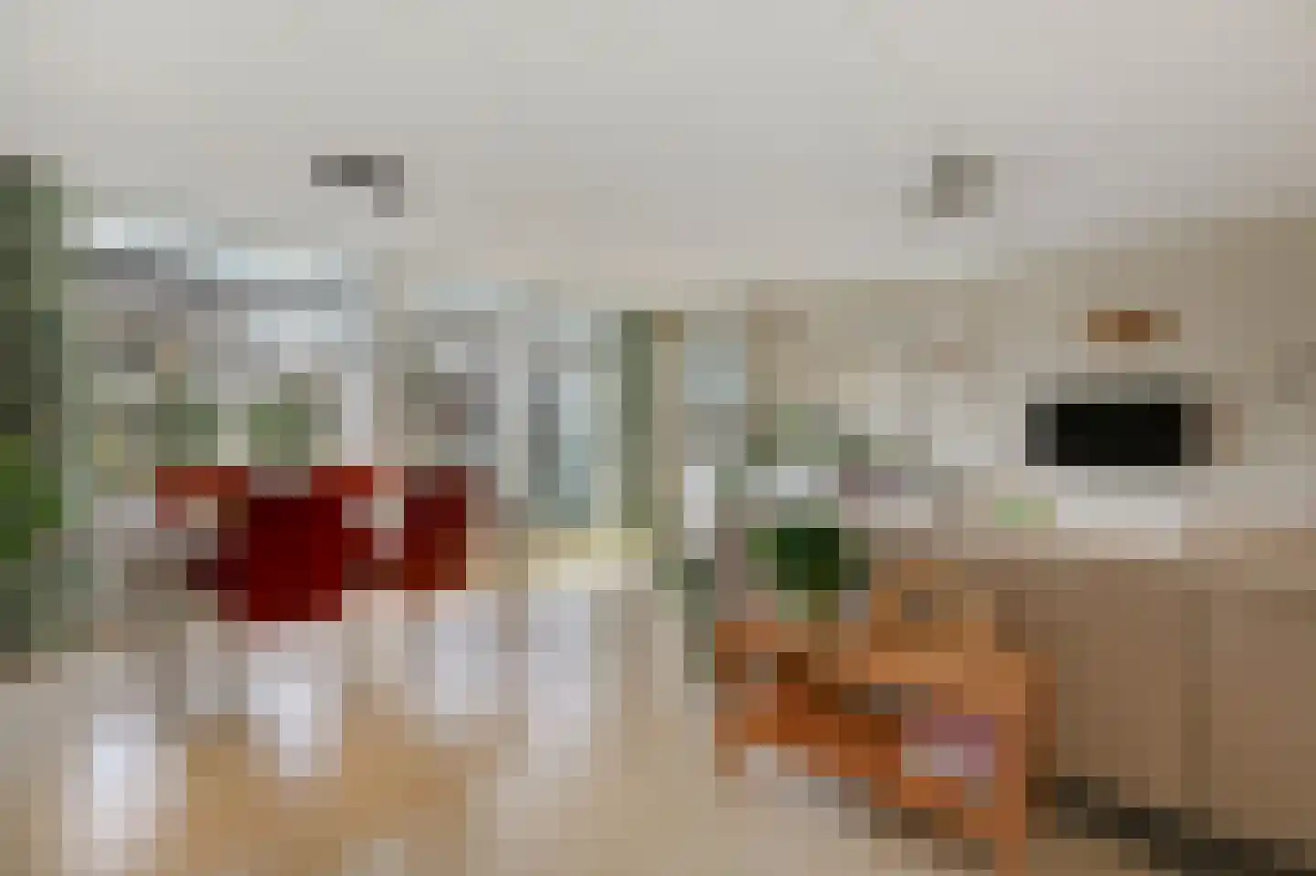 Neckardal 24 Doetinchem thumbnail 16