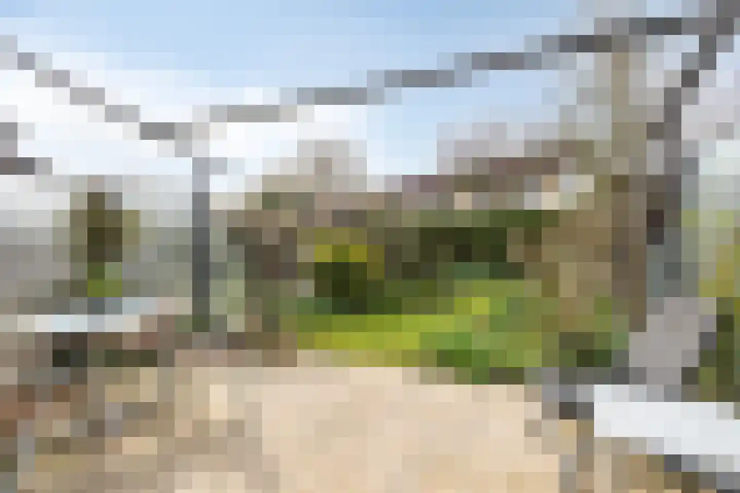 Neckardal 24 Doetinchem thumbnail 4