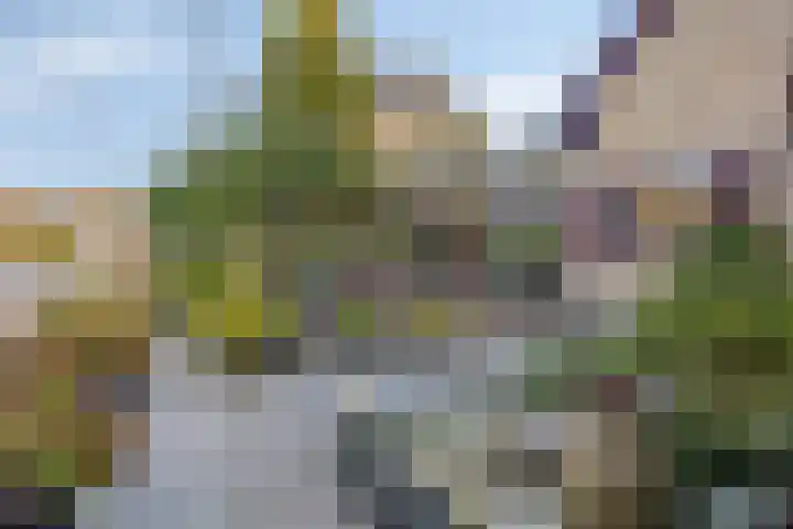 Neckardal 26 Capelle aan den IJssel thumbnail 25