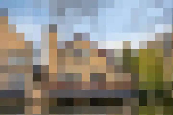Neckardal 26 Capelle aan den IJssel thumbnail 30