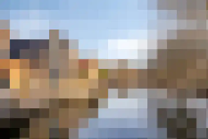 Neckardal 26 Capelle aan den IJssel thumbnail 31