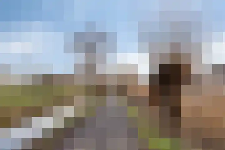 Neckardal 26 Capelle aan den IJssel thumbnail 33