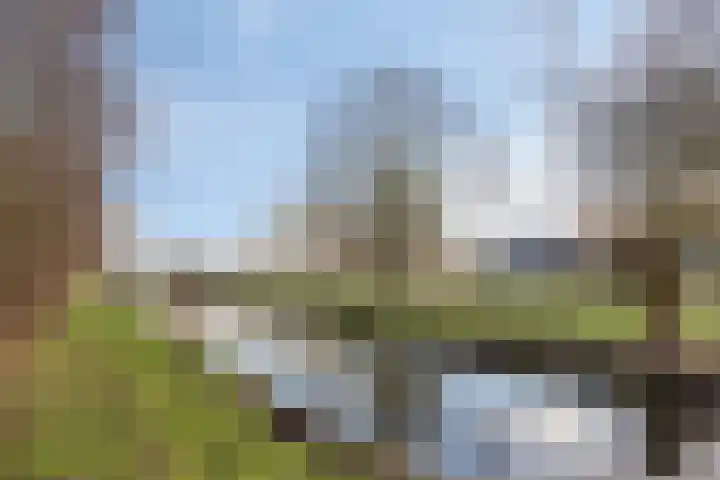 Neckardal 26 Capelle aan den IJssel thumbnail 34