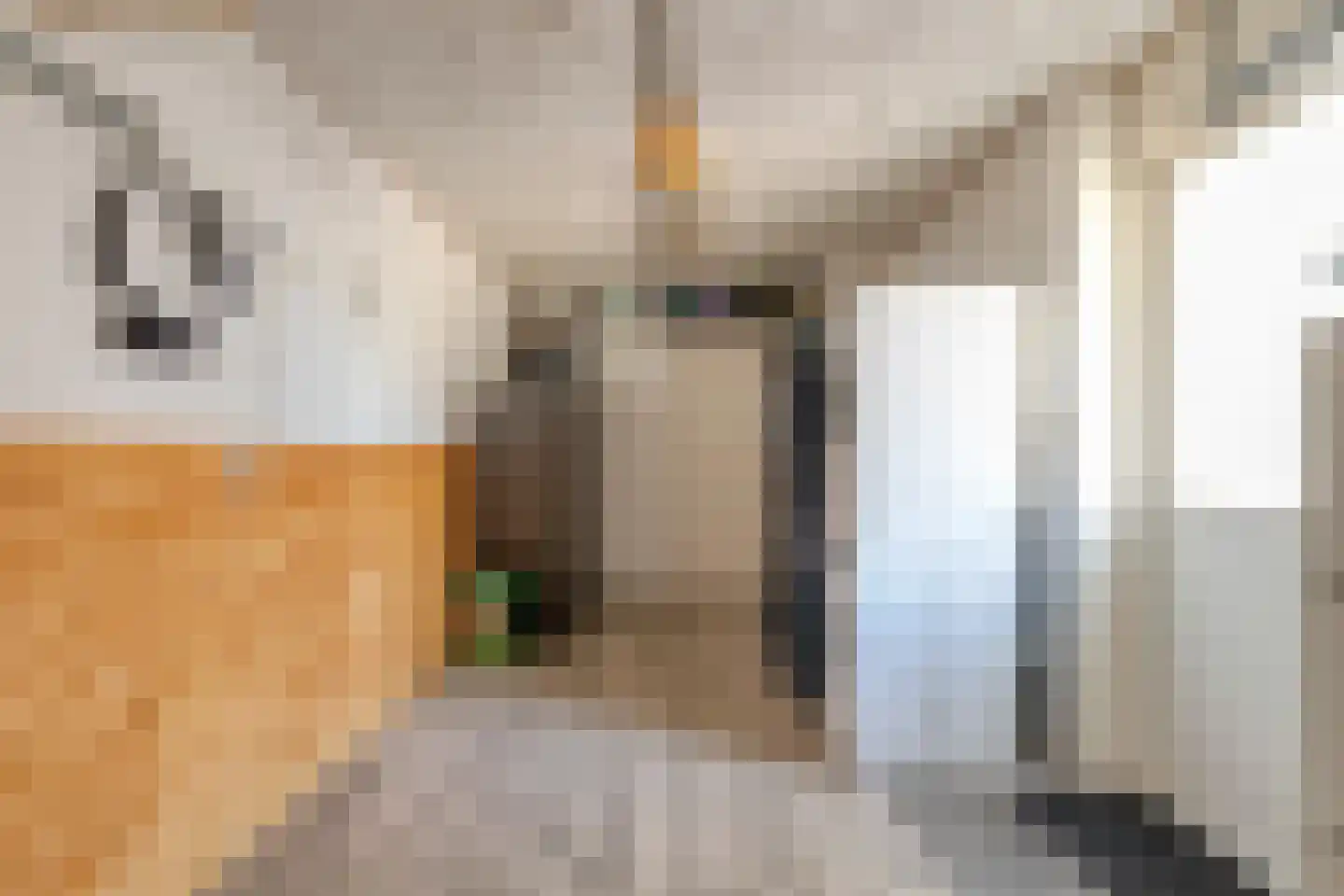 Neckarstraat 6 Lelystad thumbnail 38