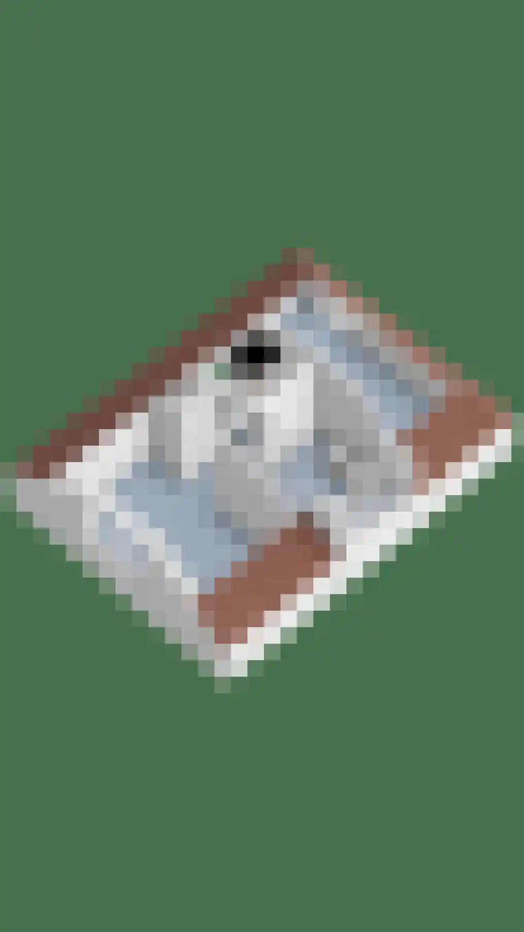 Neckerstraat 147 Wijdewormer thumbnail 65