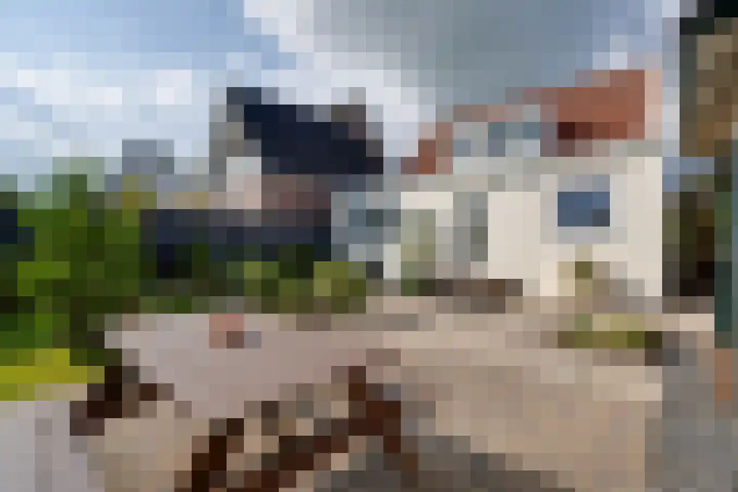 Neckerstraat 157 Wijdewormer thumbnail 31