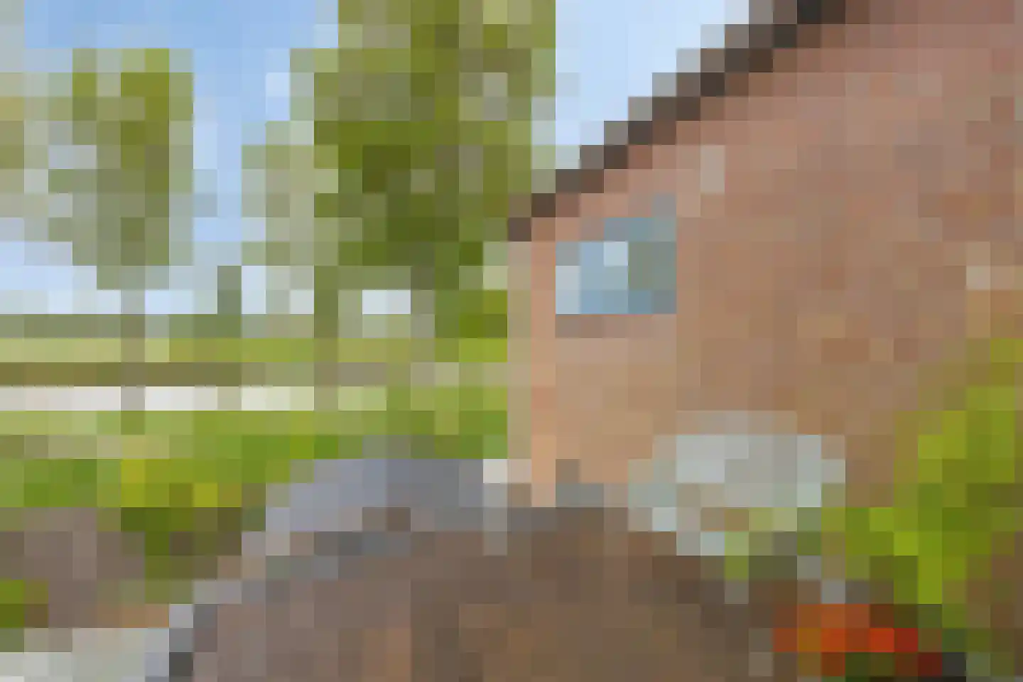 Neckerstraat 20 Wijdewormer thumbnail 36