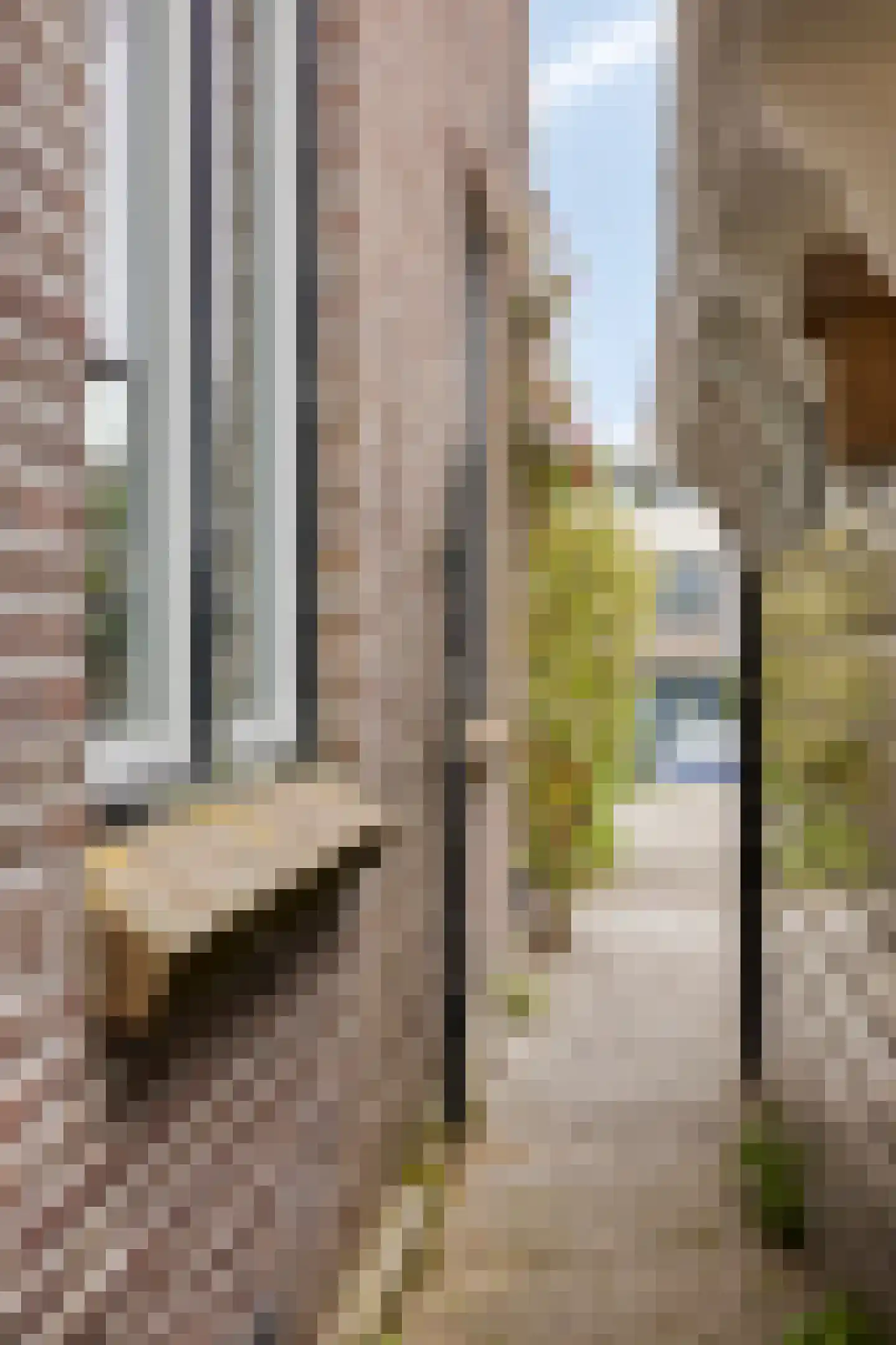 Neckerstraat 20 Wijdewormer thumbnail 49