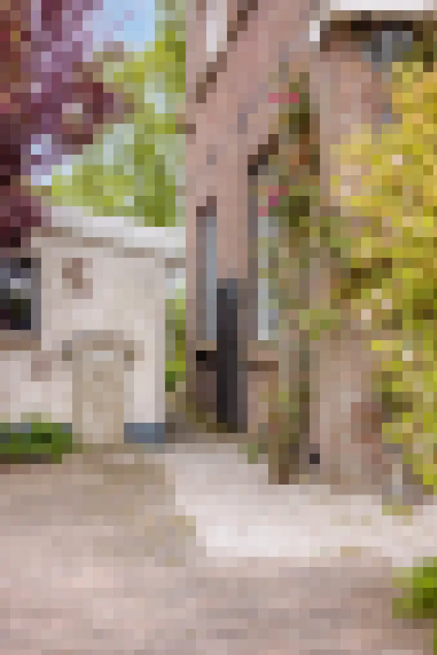 Neckerstraat 20 Wijdewormer thumbnail 6
