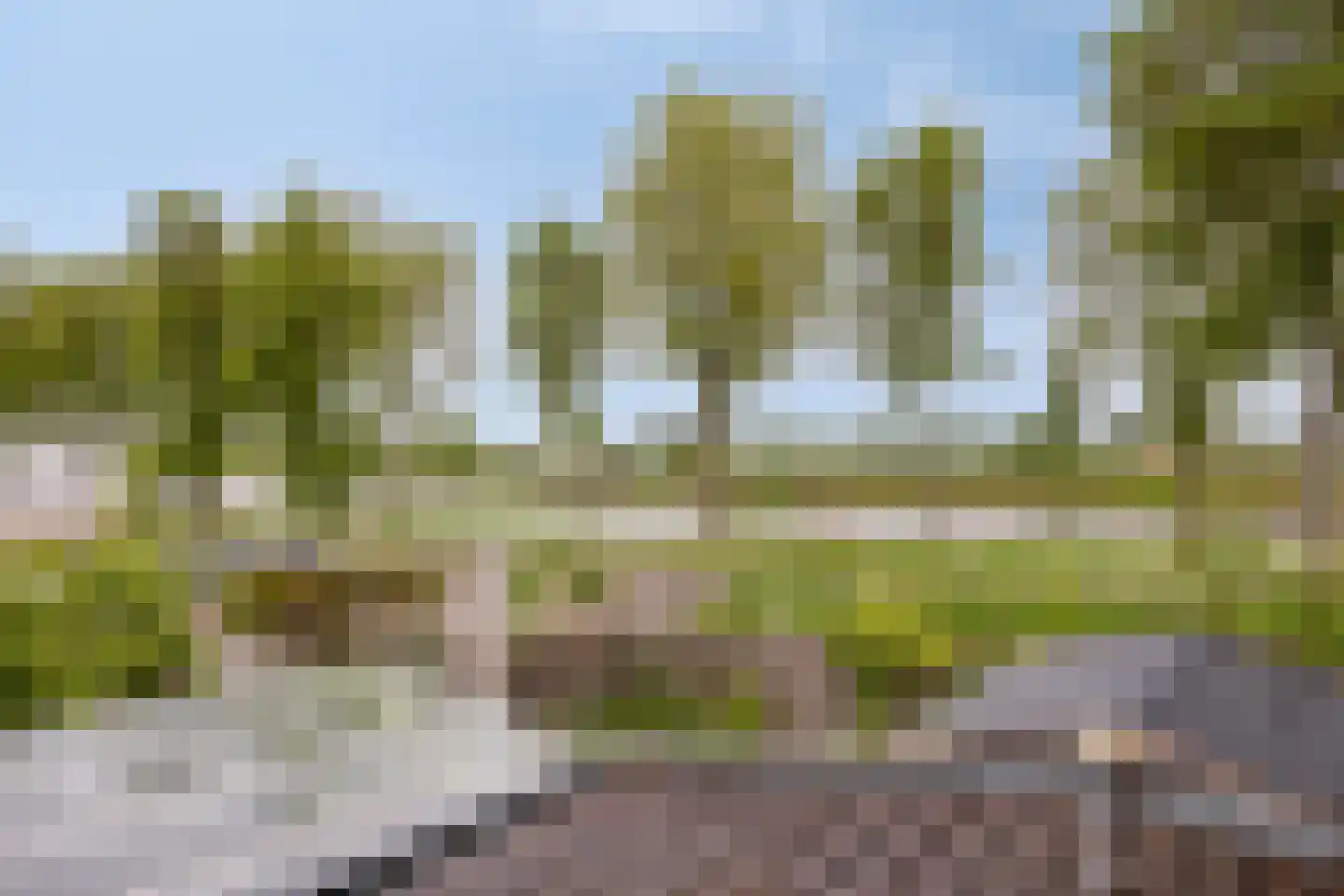 Neckerstraat 20 Wijdewormer thumbnail 62