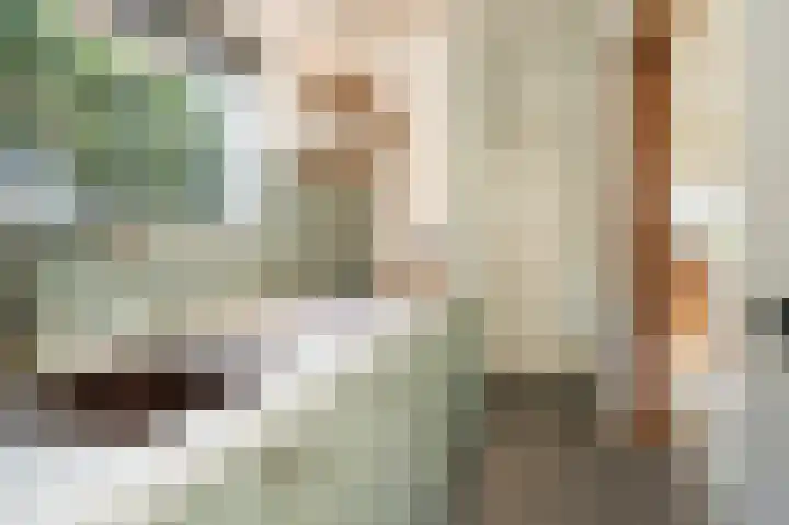 Nedereindsestraat 18 Kesteren thumbnail 15