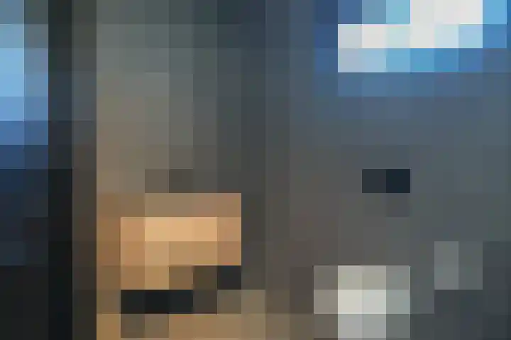 Nedereindsestraat 18 Kesteren thumbnail 18
