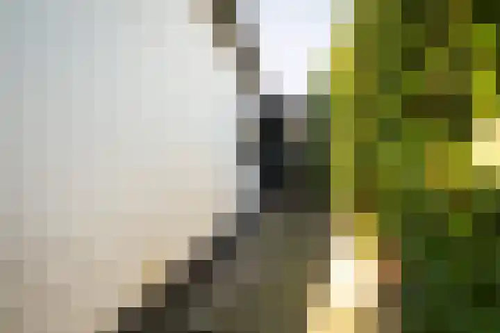 Nedereindsestraat 18 Kesteren thumbnail 33