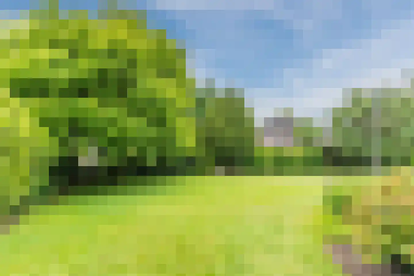Nedereindsestraat 28 Kesteren thumbnail 10