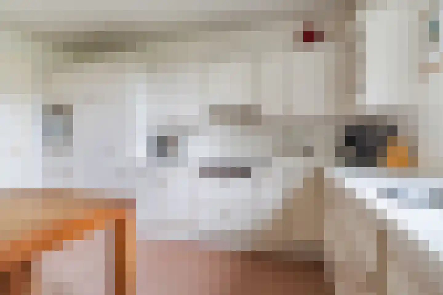 Nedereindsestraat 28 Kesteren thumbnail 23