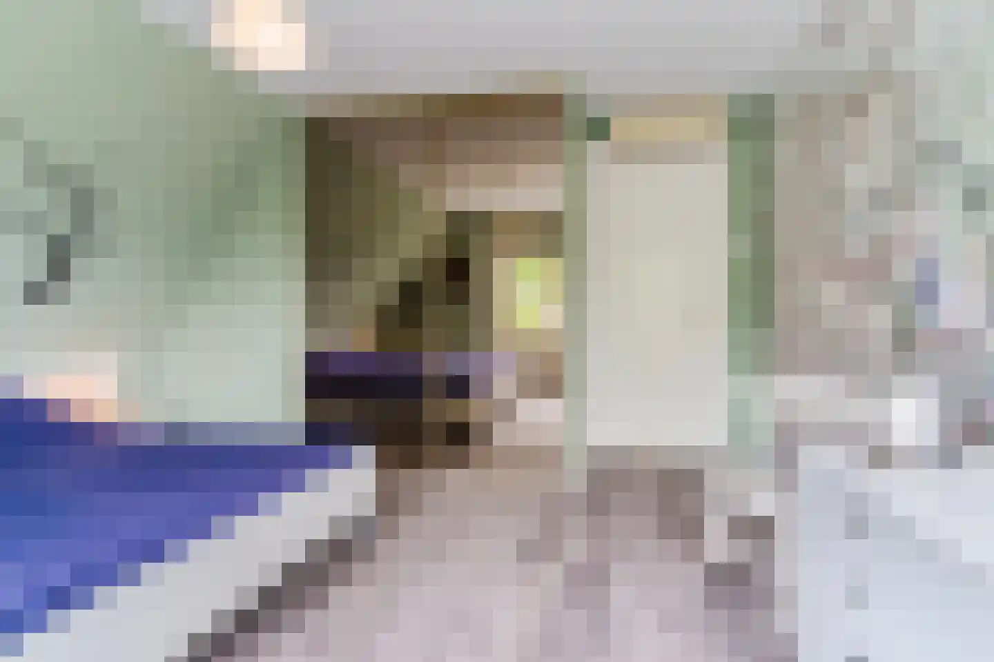 Nedereindsestraat 28 Kesteren thumbnail 33