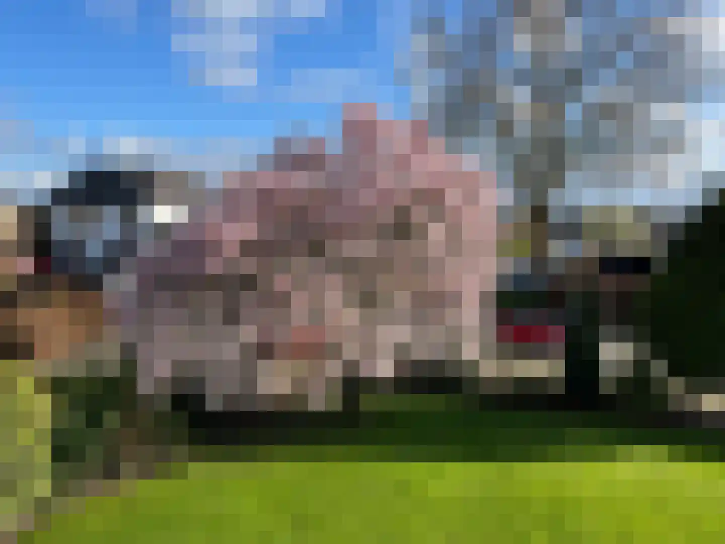 Nedereindsestraat 28 Kesteren thumbnail 35