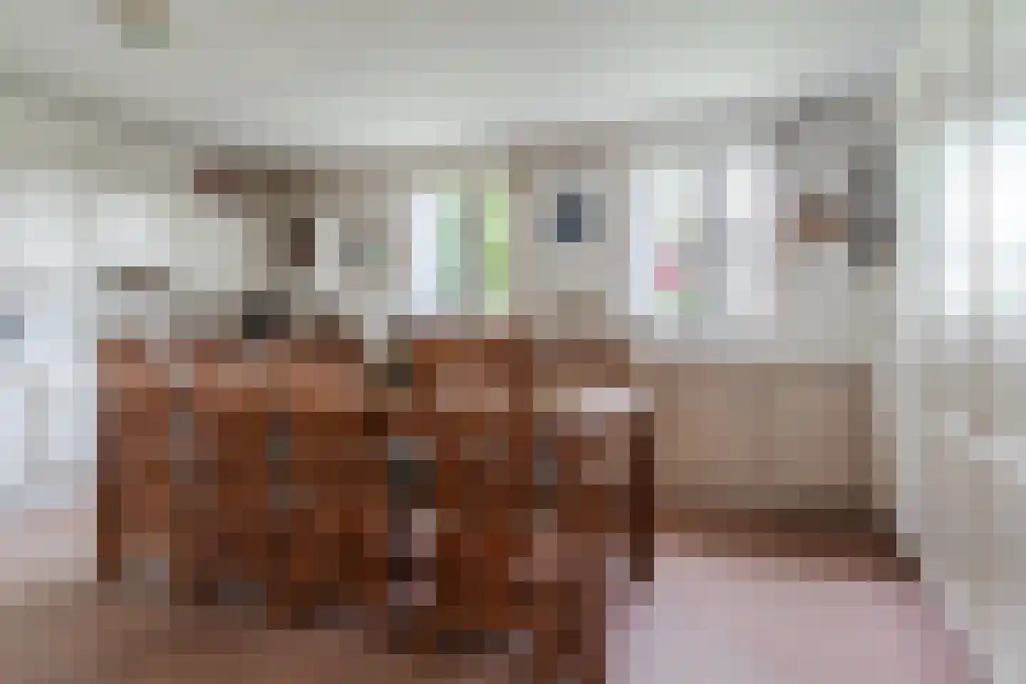Nedereindsestraat 28 Kesteren thumbnail 4
