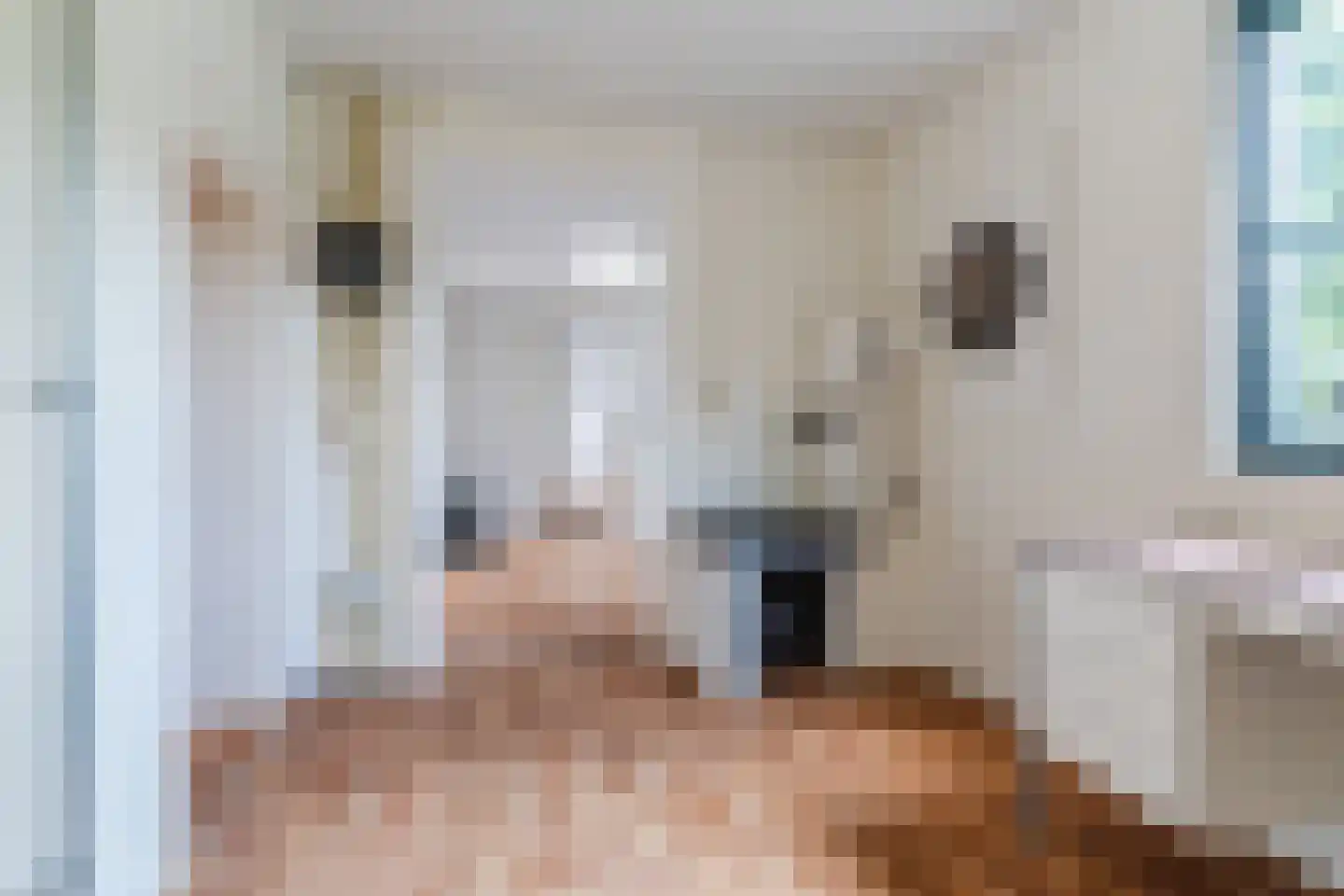 Nedereindsestraat 28 Kesteren thumbnail 45