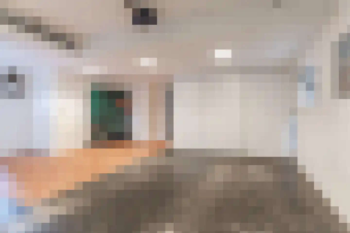 Nedereindsestraat 28 Kesteren thumbnail 48