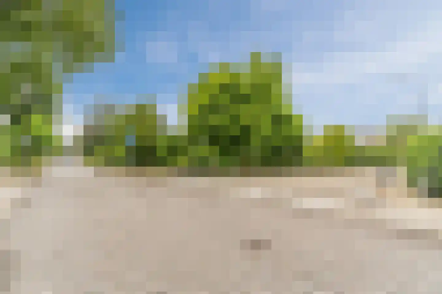 Nedereindsestraat 28 Kesteren thumbnail 70