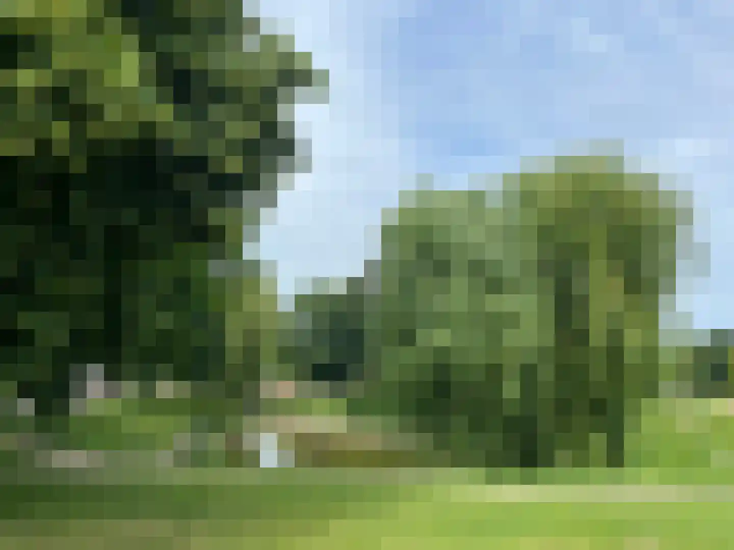 Nedereindsestraat 28 Kesteren thumbnail 72