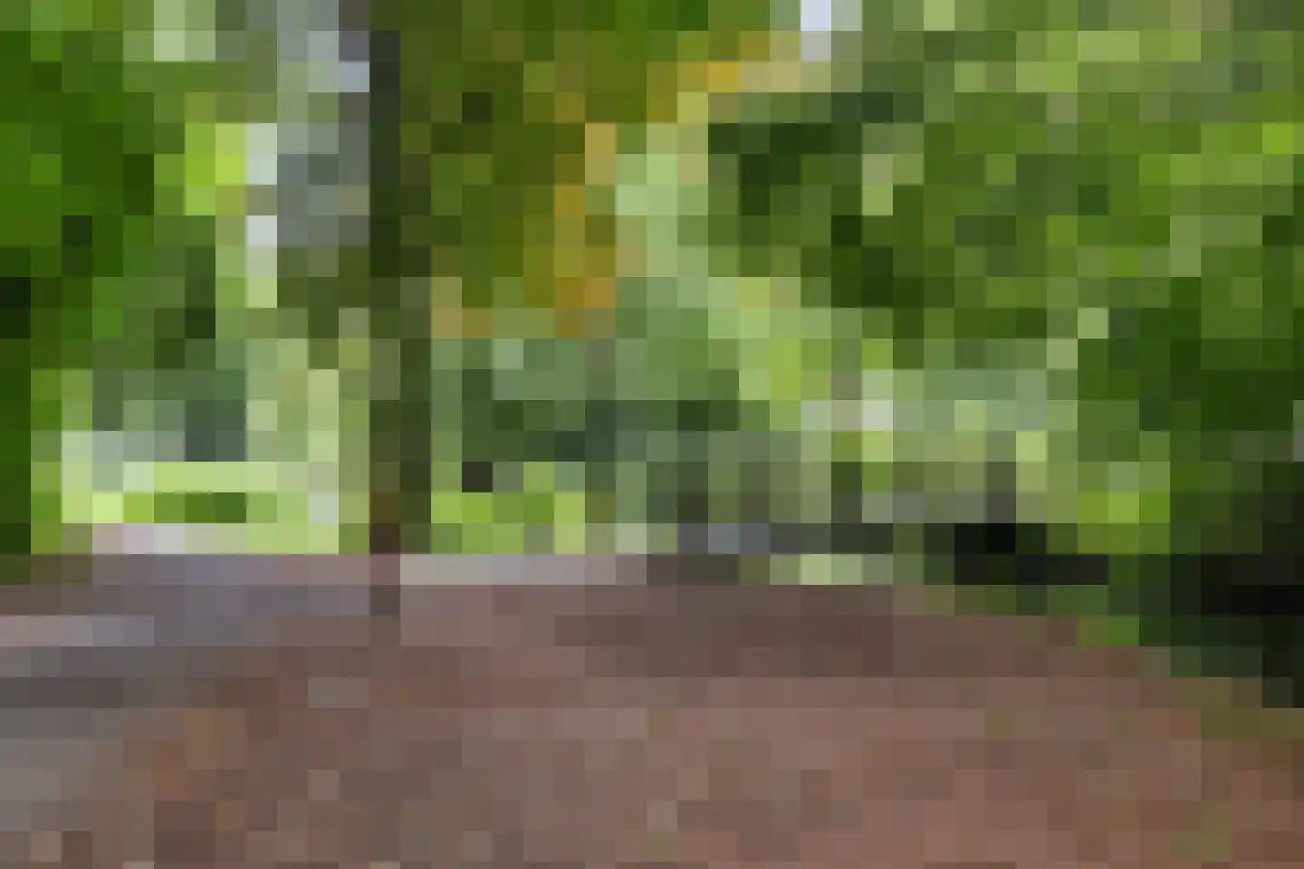 Nedereindseweg 111 Nieuwegein thumbnail 36