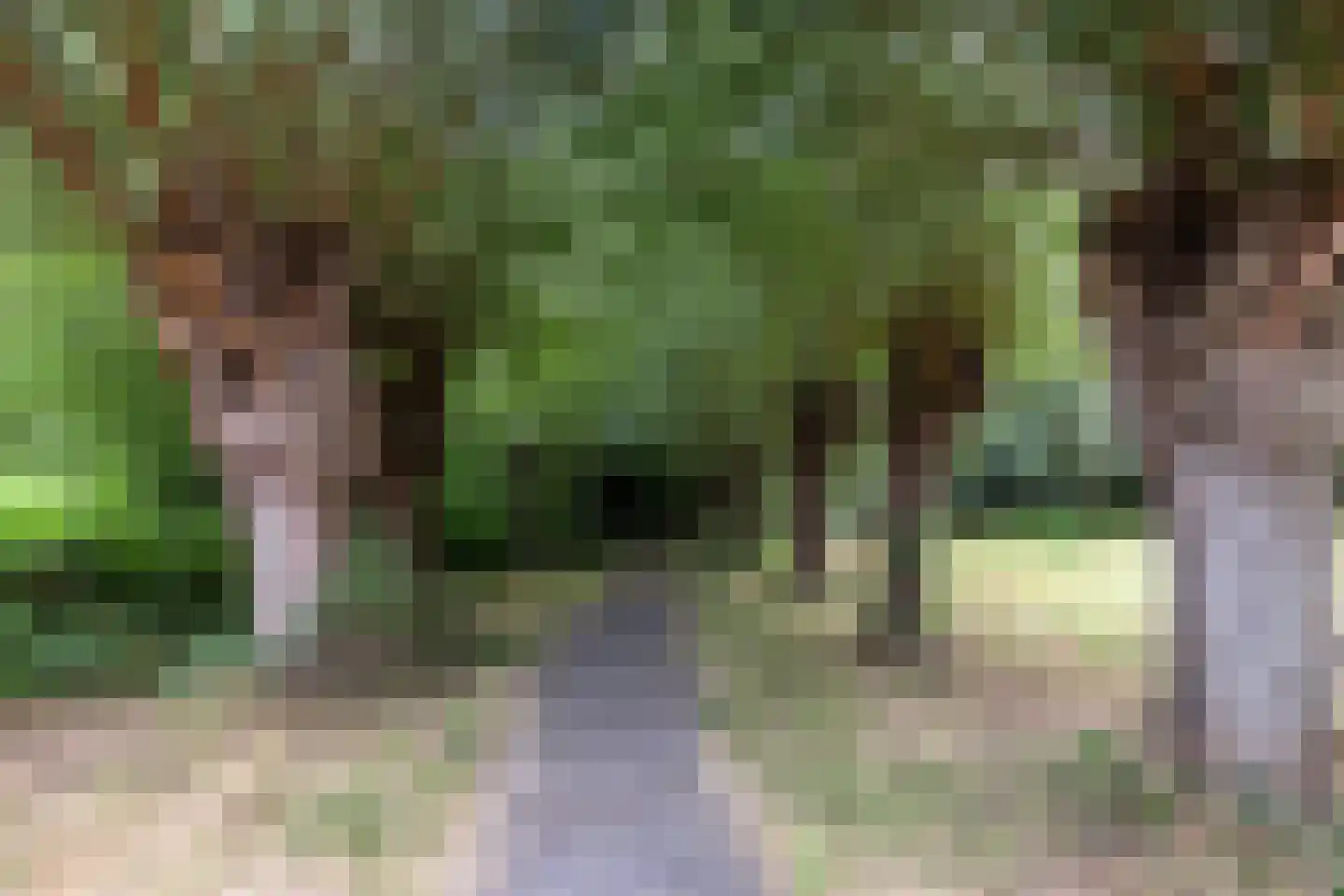 Nedereindseweg 111 Nieuwegein thumbnail 37