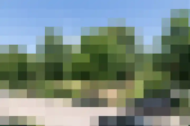 Nedereindseweg 119 Nieuwegein thumbnail 29