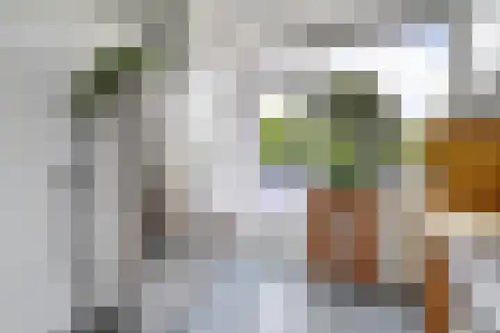 Nedereindseweg 123 Nieuwegein thumbnail 21