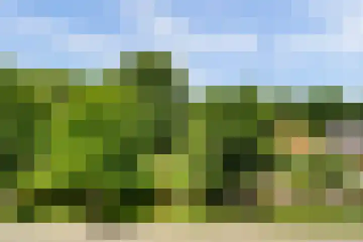 Nedereindseweg 123 Nieuwegein thumbnail 23
