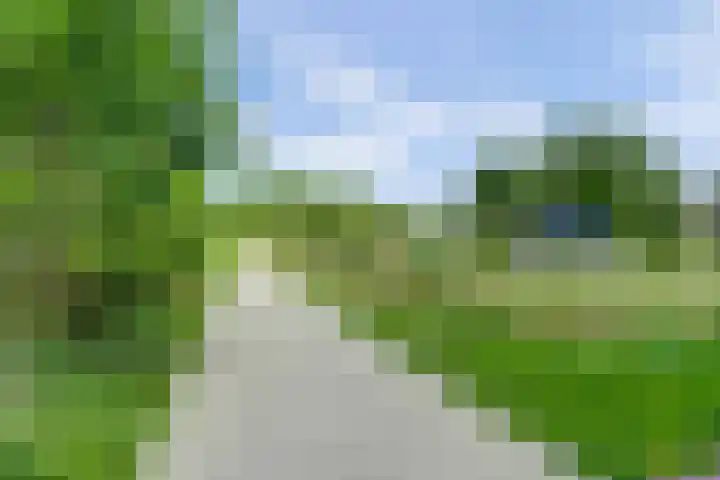 Nedereindseweg 123 Nieuwegein thumbnail 34