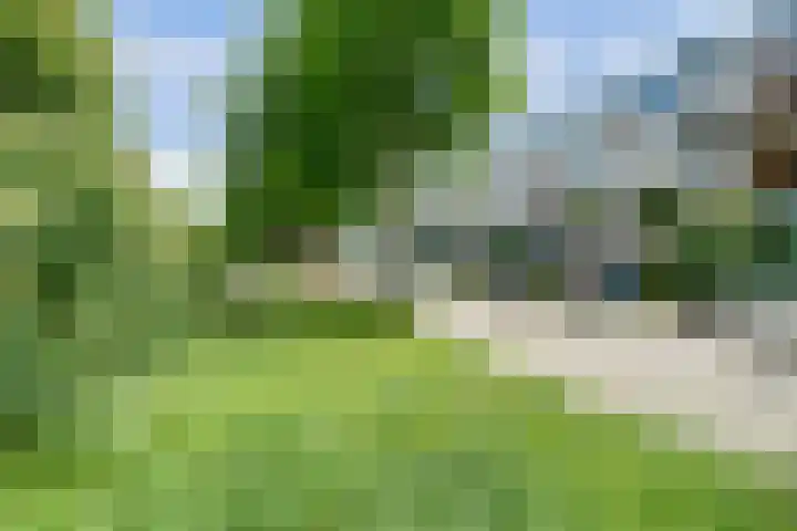 Nedereindseweg 123 Nieuwegein thumbnail 35