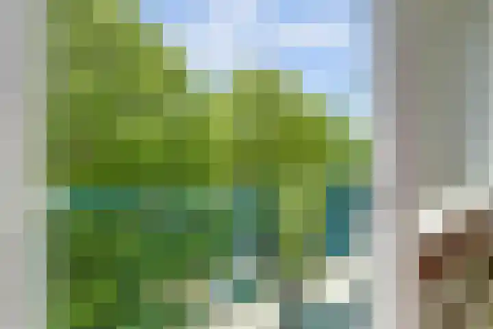 Nedereindseweg 123 Nieuwegein thumbnail 9