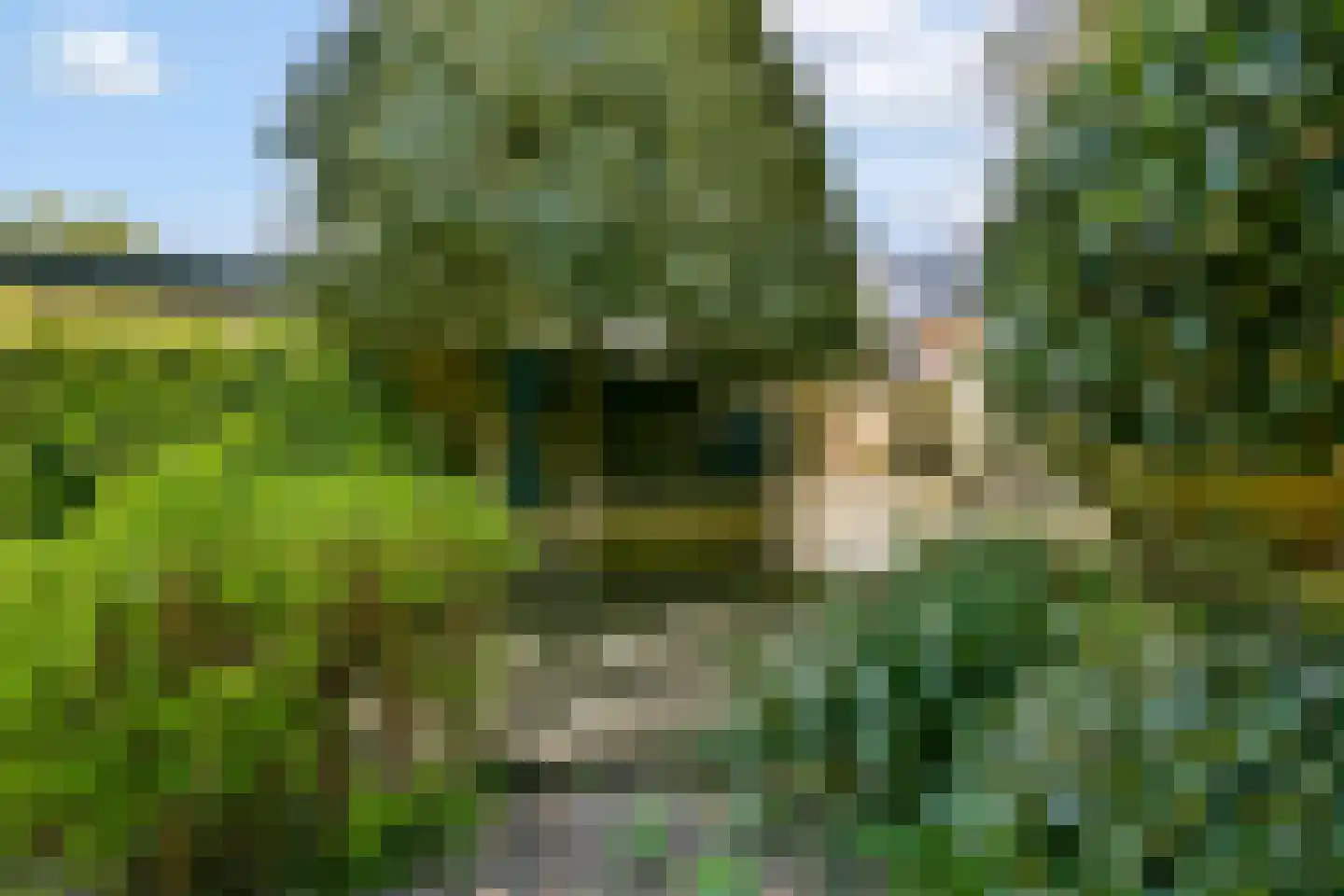 Nedereindseweg 217 Nieuwegein thumbnail 12
