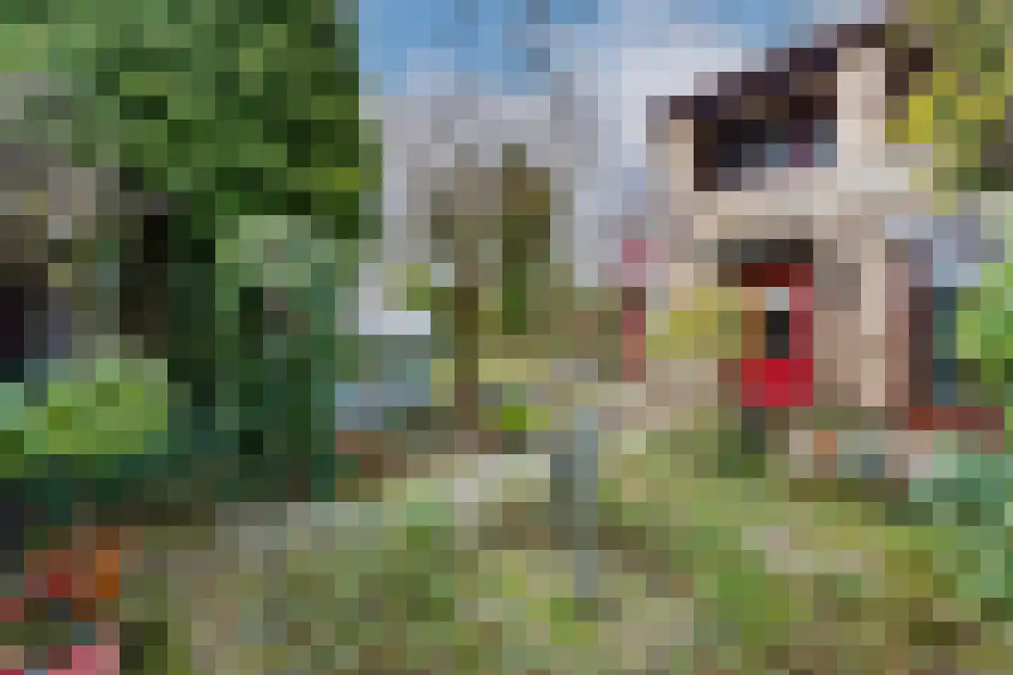Nedereindseweg 223 Nieuwegein thumbnail 20